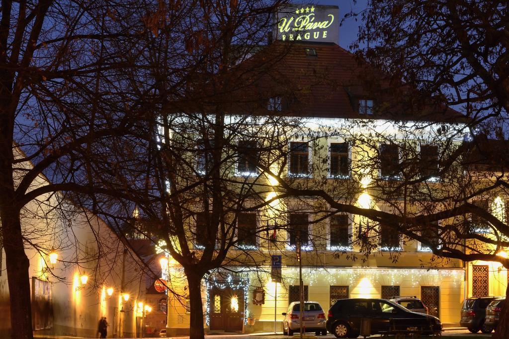 U Pava Hotel Prague Luaran gambar